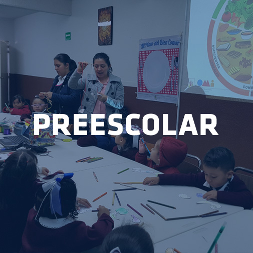cuadros-niveles-academicos-preescolar-2