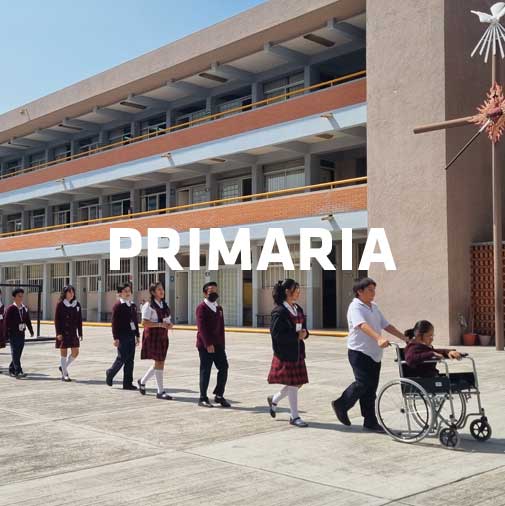amcdmx-primaria-cuadro-2