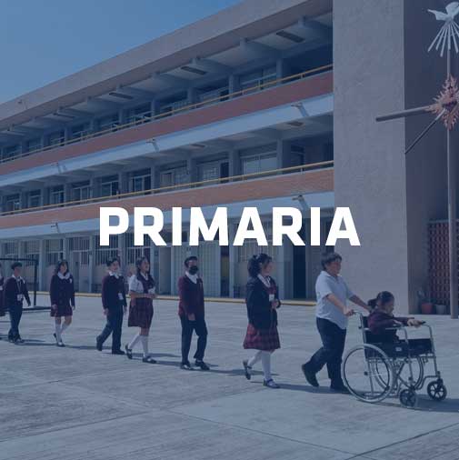 amcdmx-primaria-cuadro